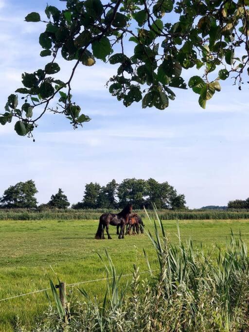 Tiny House "De Veenpolder" De Veenhoop Екстер'єр фото